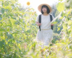 コロリー 安い理由についての案内